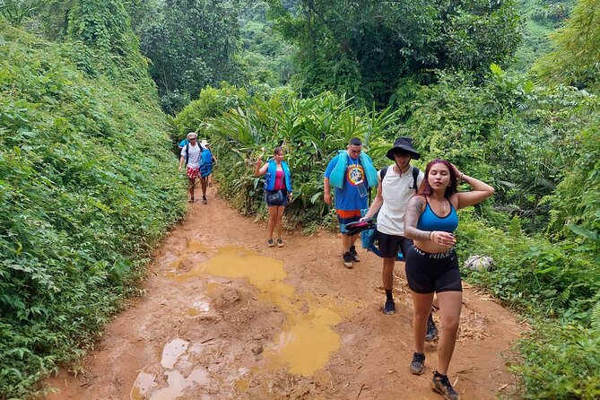Yunque Rainforest Tour in Puerto Rico - Timing, group size, and cancellation details