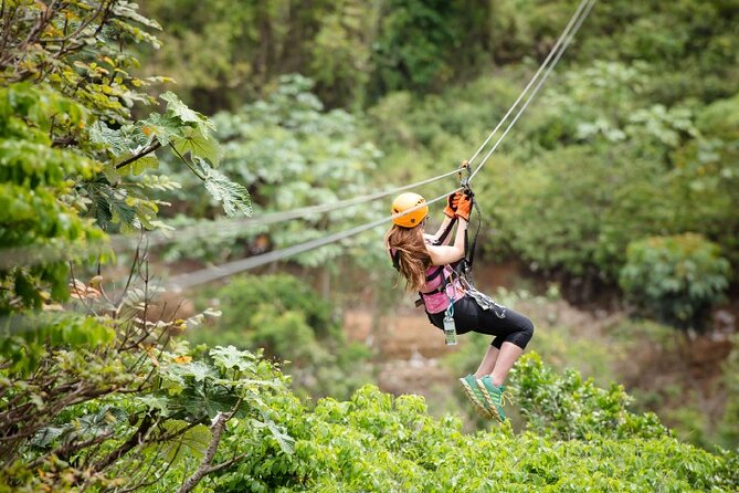 Zipline Adventure Tour - Reaching ToroVerde from San Juan