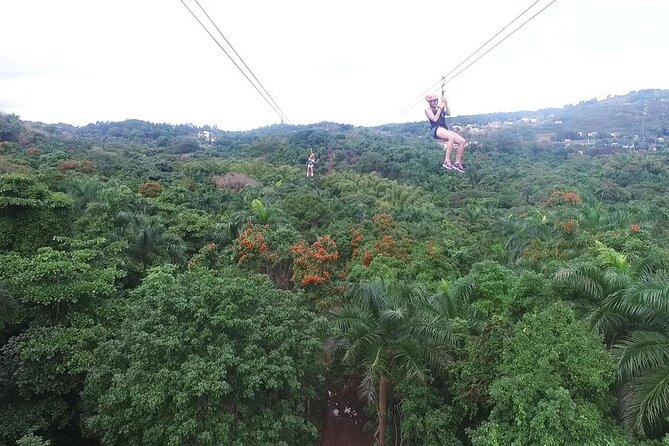 Zipline Canopy Tour with Transport from San Juan - Key Points to Know Before You Go