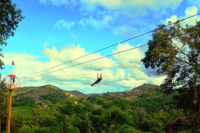 Zipline Canopy Tour with Transport from San Juan - Eight Lines, From Practice Runs to Big Views