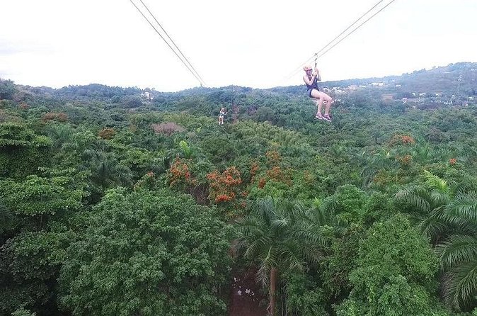 Zipline Canopy Tour with Transport from San Juan - Is $185 a Fair Price?