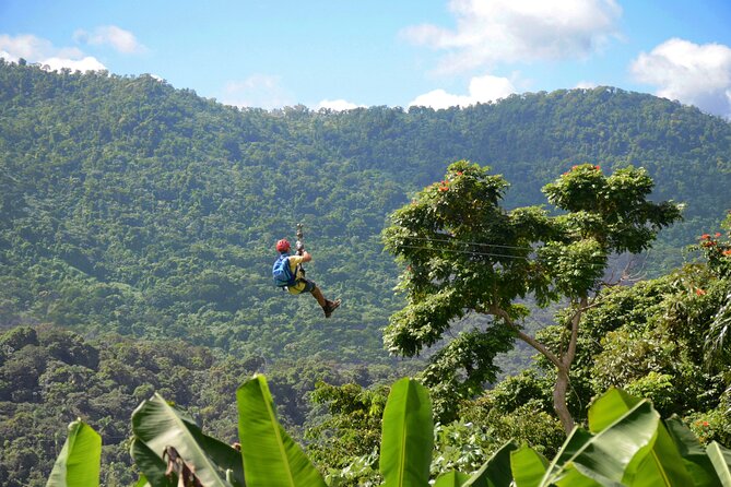 Ziplining at the Rainforest in Puerto Rico - Five ziplines and a short rainforest challenge