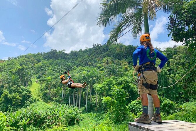 Ziplining at the Rainforest in Puerto Rico - Rappel and canopy bridge add variety