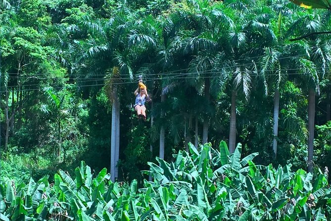 Ziplining at the Rainforest in Puerto Rico - How the two sessions shape your day