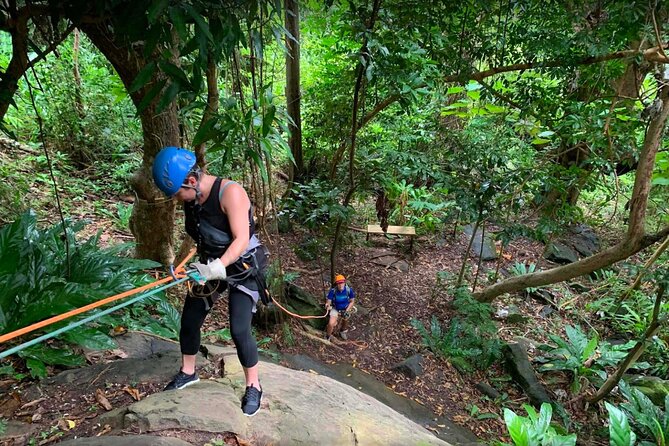 Ziplining at the Rainforest in Puerto Rico - What $149 includes, and what it does not