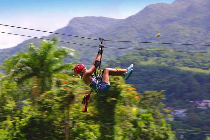 Ziplining at the Rainforest in Puerto Rico - Who will enjoy this most