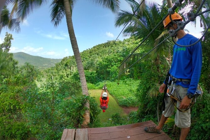 Ziplining at the Rainforest in Puerto Rico - Practical booking advice for Luquillo